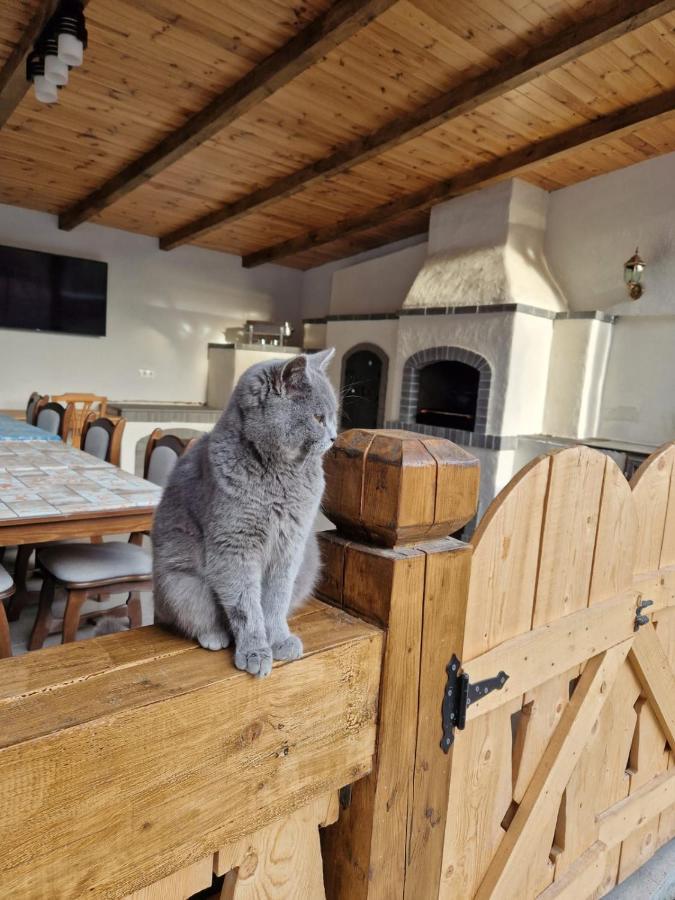 Casa De Langa Padure Otel Sighetu Marmaţiei Dış mekan fotoğraf